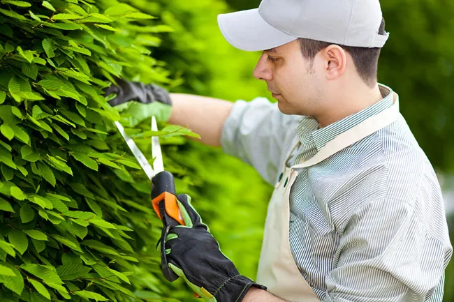 arbeiten-im-garten